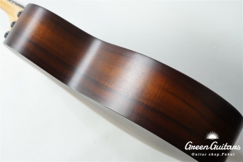 GS Mini-e KOA Plus